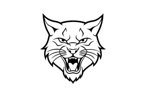 Bobcat Vector Graphics & Illustrations