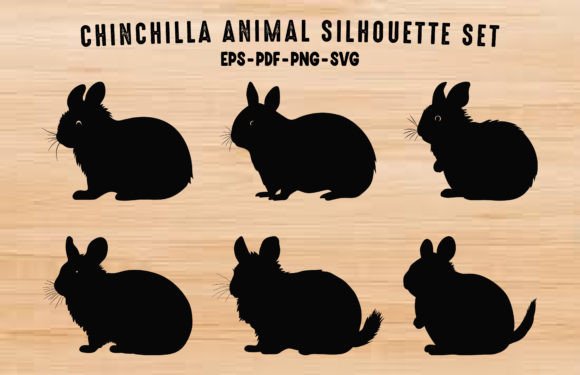 Chinchilla Animal Silhouette Clipart Set: Graphics & Illustrations