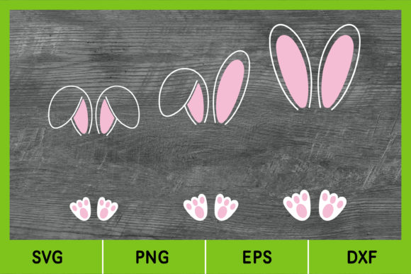 Easter Bunny Graphics & Illustrations: SVG Animal Design