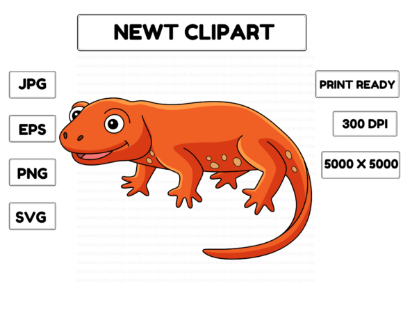 Newt Animal Colored Cartoon Illustration