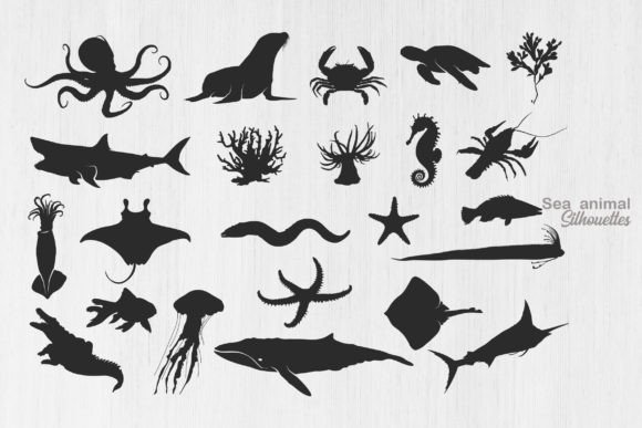 Sea Animal Silhouette, Ocean Animal SVG